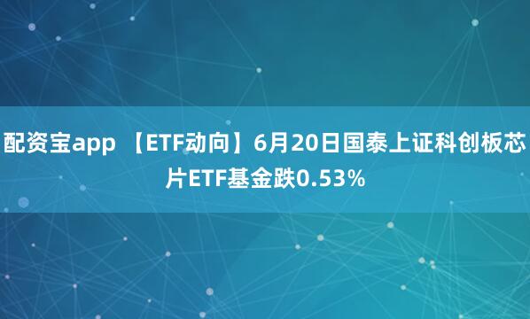 配资宝app 【ETF动向】6月20日国泰上证科创板芯片ETF基金跌0.53%