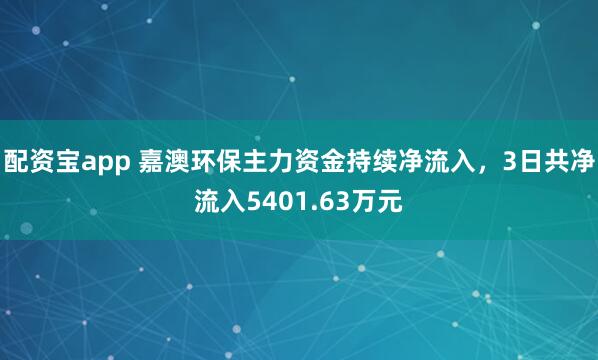 配资宝app 嘉澳环保主力资金持续净流入，3日共净流入5401.63万元