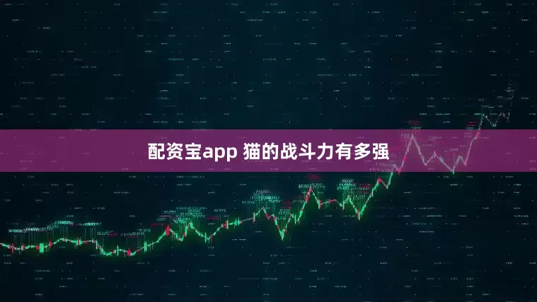 配资宝app 猫的战斗力有多强